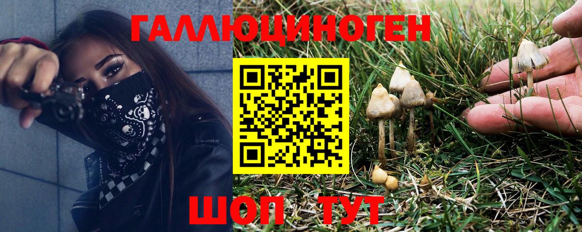 Галлюциногенные грибы мицелий  хочу   Элиста  Вход с VPN 