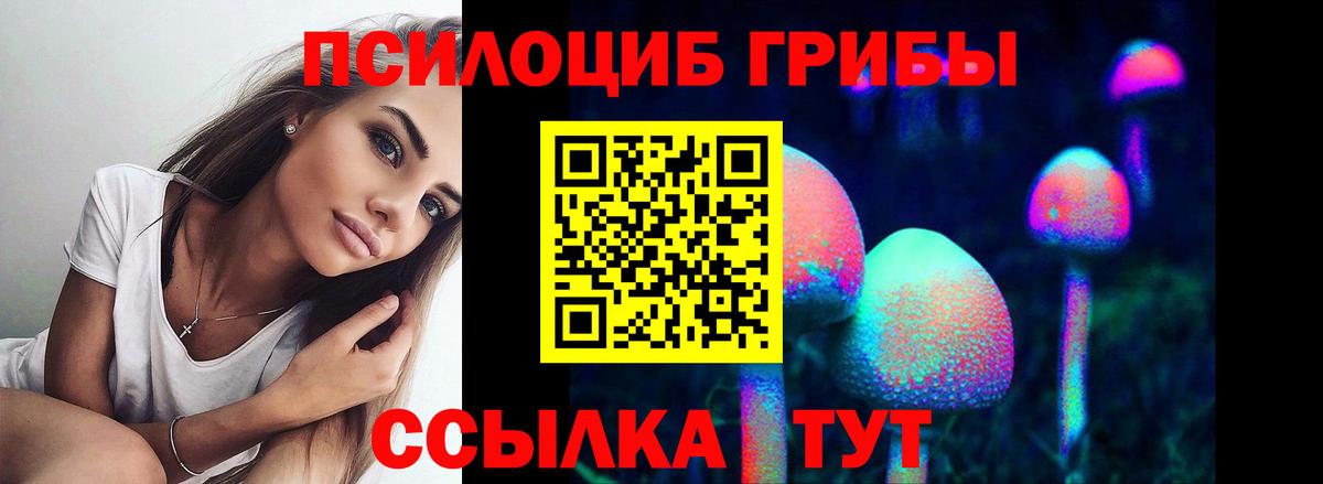 Псилоцибиновые грибы Psilocybe Элиста